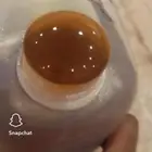 عسل السدر الدوعني الحضرمي