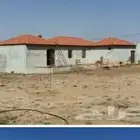 بيت شعر قرميد تلبيس