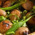 اسر منتجه العريسه