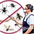 متخصصون بمكافحة الحشرات ورش مبيدات