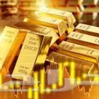 الاستثمار الافضل