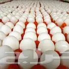 بيض المائده بسعر 100ريال للكرتون الكميه محدوده