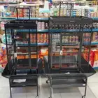اقفاص ببغاء كاسكو بلوفرنتد مكاو قالا كوكاتو سلفر