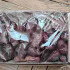 تمر . تمور . وصيلي