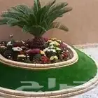 تنسيق حدائق ونجيله