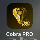 نتفلكس سنه ب 30 ريال وبي ان سبورت