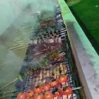 معلم شوي خارجي ابومحمد