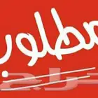 مطلوب شقة او استديو للايجار الشهري في KAEC