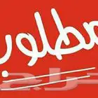 مطلوب سيارة MG6 للإيجار الشهري