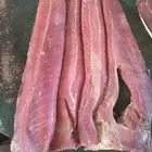 الخم الزين عندنا مجفف واحمر قريني وأبو قرن سمين