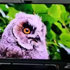 للبيع شاشه TCL C825 مقاس 55