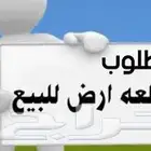مطلوب قطعه ارض في مخطط المنار بيش-نخلان صبيا