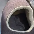 قطوة عمرها شهرين كل أغراضها معها القفص البيت الأكل الألعاب