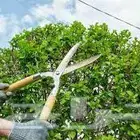 زرع طبيعي عشب طبيعي شبكات راي اشجار نباتات احواض زراعة طبيعي