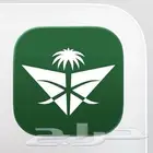 حجز رحلات طيران باميال الفرسان صرف 0.065
