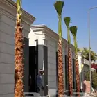 واشطونيا زينه ابومروحه جميع المقاسات
