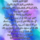 خدمه غر الطيور بجميع انواعها من اليوم الاول