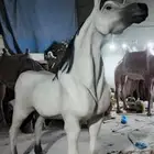 منتجات فابير جلاص