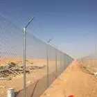 نخل وشبوك للبيع