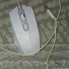 ماوس