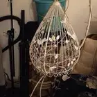 قفص للعرسان نظيف جدا