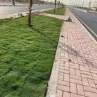 للزراعة وتوريد الاشجار