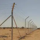 شبك شبوك
