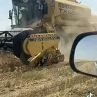 حصاد قمح