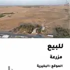 للبيع أرض زراعية بمحافظة البكيرية