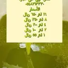 عسل بجميع أنواعه زيت تمر سمن