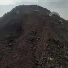 سماد دجاج لزراعة دمن دجاج