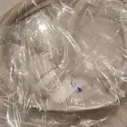 جلدة سقف اطار سقف كامري 2003-2006 وافالون 2005