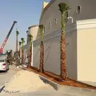 يوجد لدينا جميع انواع النخيل وجميع المقسات المختلفه خدمه متك