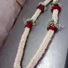 فل ورد الرياض