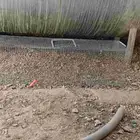 للبيع شبك نقل طويل استخدام نضيف على السوم