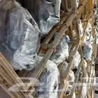 مكينه اكسبدشن