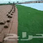 ثايل طبيعي