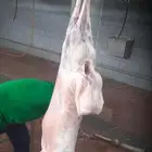 مشويات خارجية مكة جدة الطائف