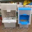 اكاله ذكيه اكاله اتمتك بادجي روز كروان كنيور حسون كناري زبره