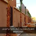 زراعه الواشنطونيا بأسعار مناسبه الرياض