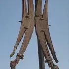 سست بوز وايت خلفي