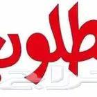 مطلوب إيجار في المخواة