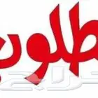 مطلوب مستثمر ممول لمشروع إستثماري عقاري