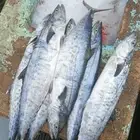 سمك طازج من البرك