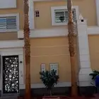 نخل وشنطونيا لزينت القصور والفلل والاستراحات والبيوت