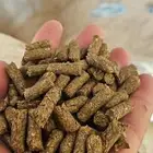 اعلاف مواشي ابل وغنم