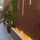 تنسيق الحدائق