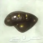 عقيق النار متغير اللون شكل سمكة