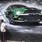رسام جدران وخطاط لرسم جداريات جرافيتى ورسم جدران المدارس