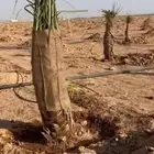 فسايل ونقايل بجميع انواعها